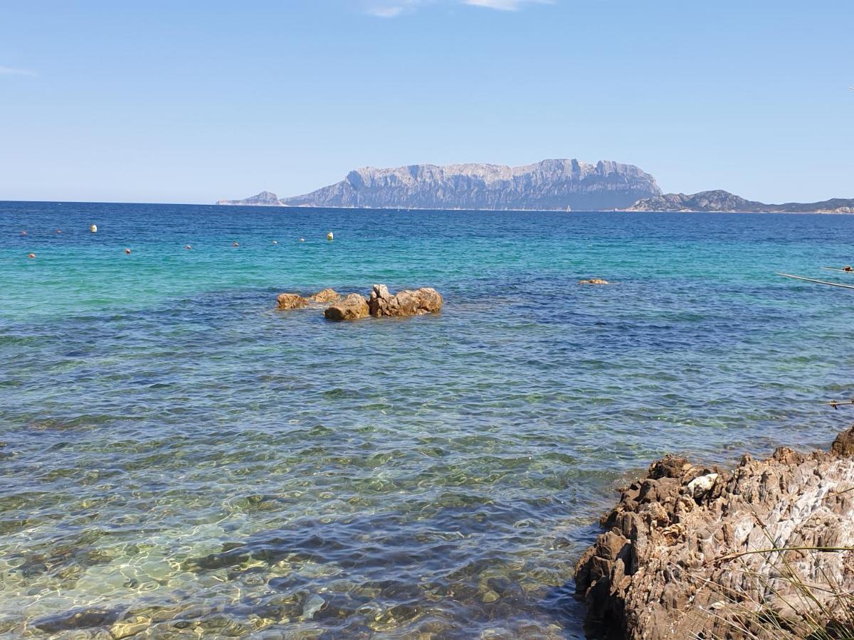 Home On Sardinia Beach Olbia Exteriér fotografie