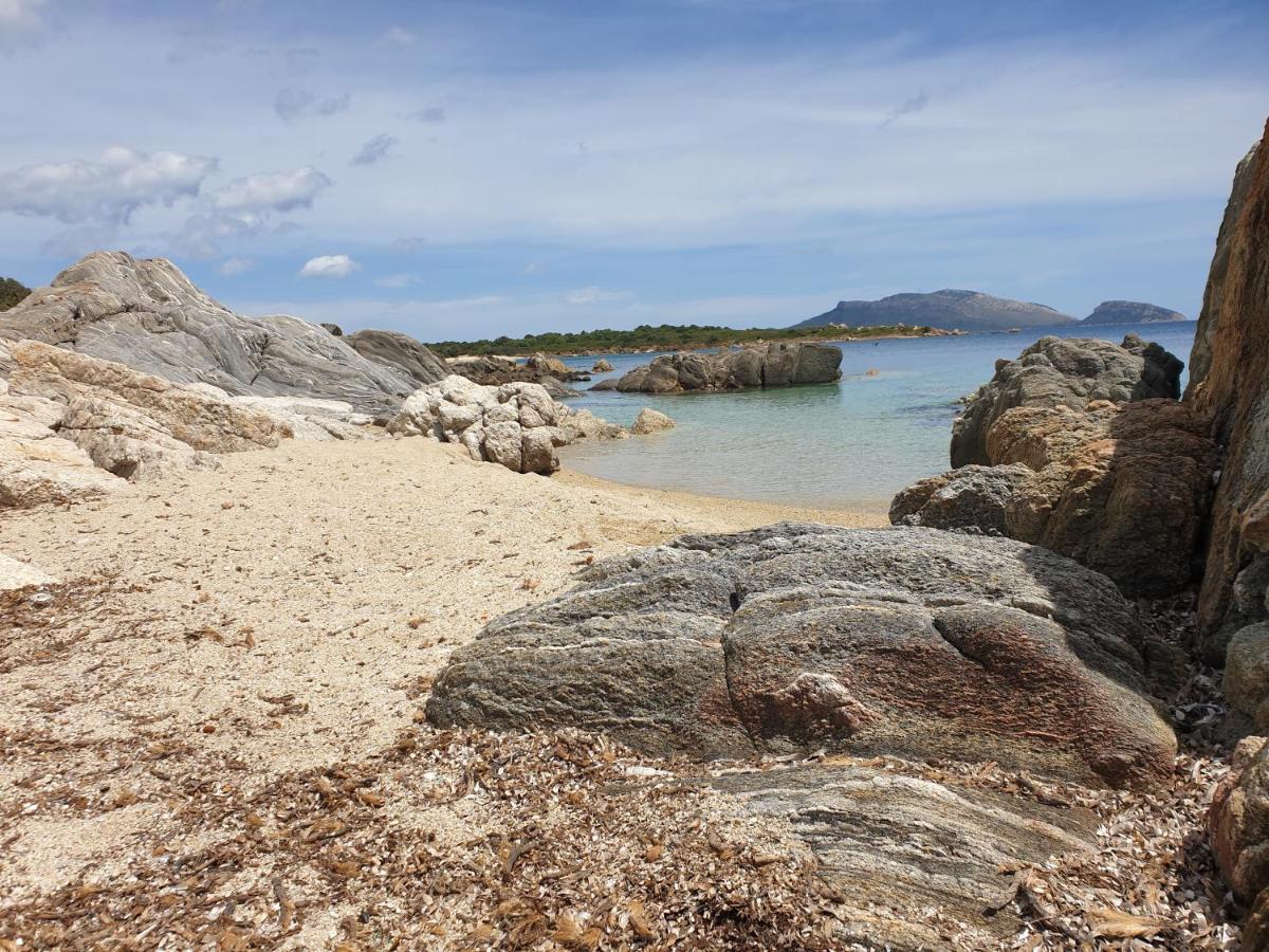 Home On Sardinia Beach Olbia Exteriér fotografie